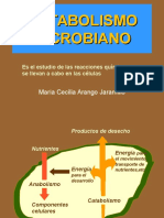 metabolismo microbiano