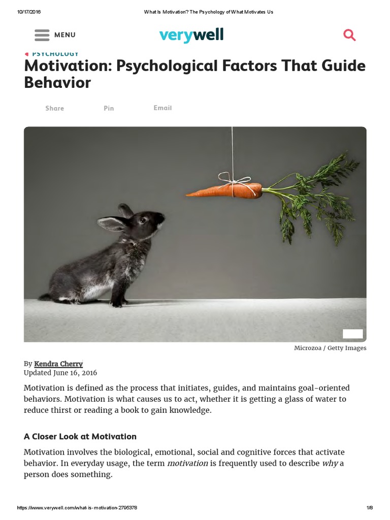 Key Components of Motivation Explained | PDF | Instinct | Motivation