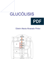 glucolisis