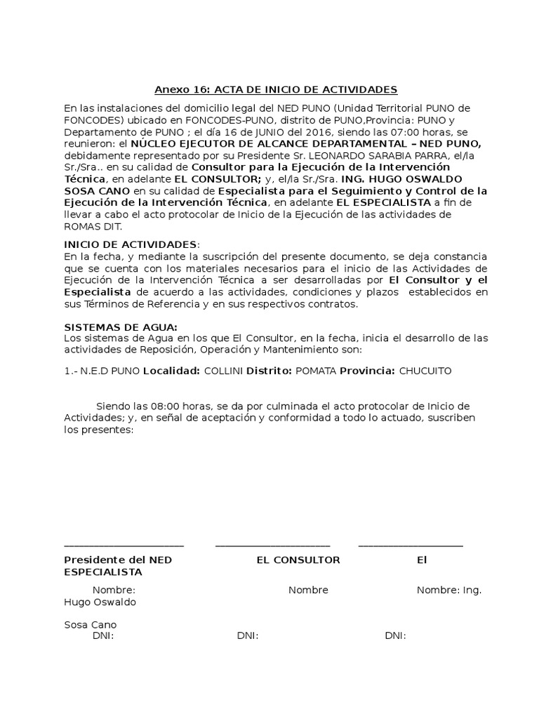 Acta de Inicio | PDF | Business