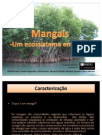 Mangais - Um Ecossistema em Risco