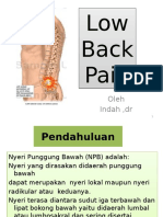 56503353-Power-Point-Presentasi-Nyeri-Punggung-Bawah-Poli-2010.pptx