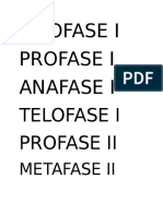 Telofase I