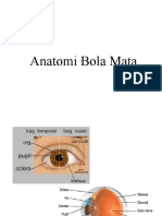 Anatomi Bola Mata 2003