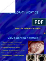 CURS 07-Valvulopatii Aortice