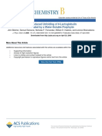 2009 J Phys Chem B