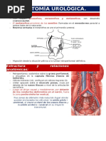 Maniobra de Stimson para Luxación de Hombro | PDF | Hombro ...