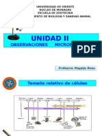 Presentación2