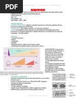 Hematopoese e Eritropoese