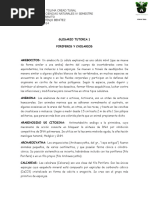 GLOSARIO PORIFEROS CNIDARIOS