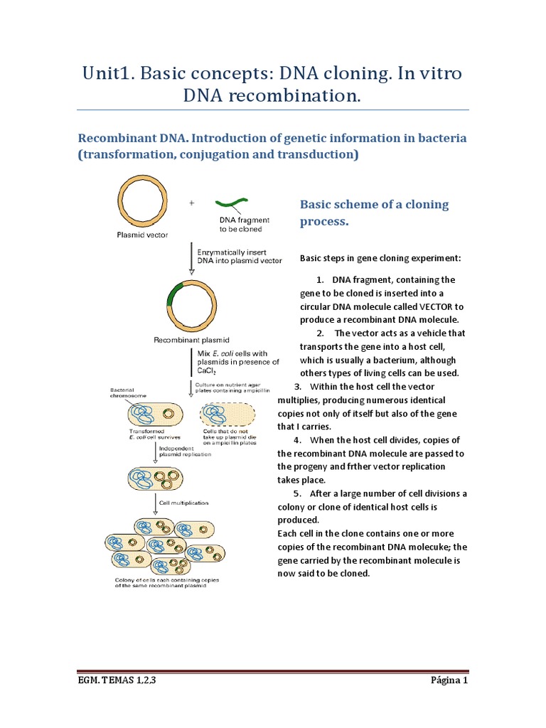 Egm Tema 1,2,3 | PDF | Molecular Cloning | Plasmid