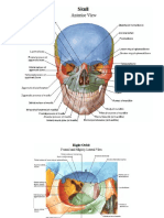 Netter's Atlas of Human Anatomy PDF