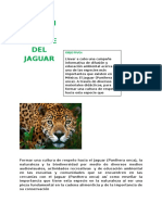 Formar Una Cultura de Respeto Hacia El Jaguar