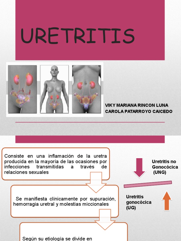 Uretritis: Causas y Tratamientos | PDF | Reproducción humana