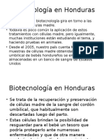 Biotecnología en Honduras: células madre y su potencial