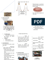 Leaflet Scabies