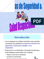 Programas de Seguridad