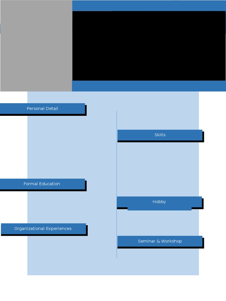 Professional Curriculum Vitae Template | PDF | Career & Growth