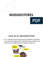2 Biodigestores Biogas