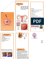 Leaflet CA. Servikx