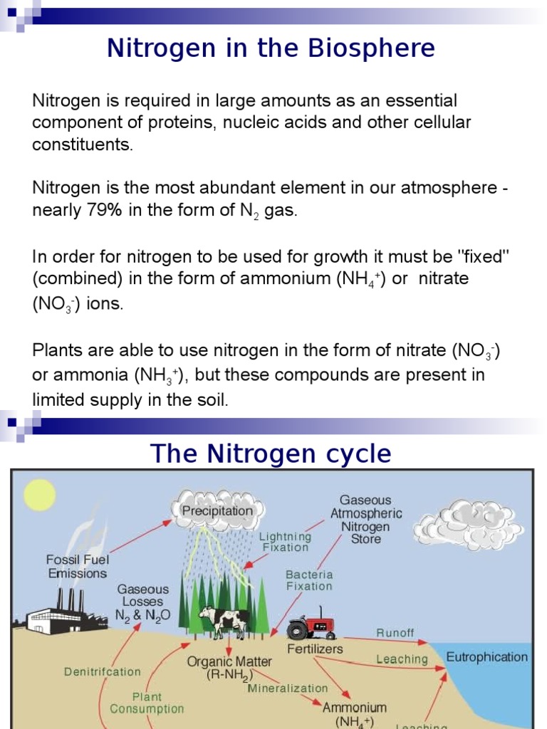 Nitrogen in The Biosphere PDF Nitrogen Ammonium