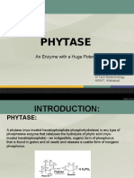 104524692-Phytase-ppt