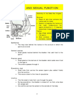 Sex and Sexual Function.pdf