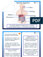 Digestion Absorcion PDF