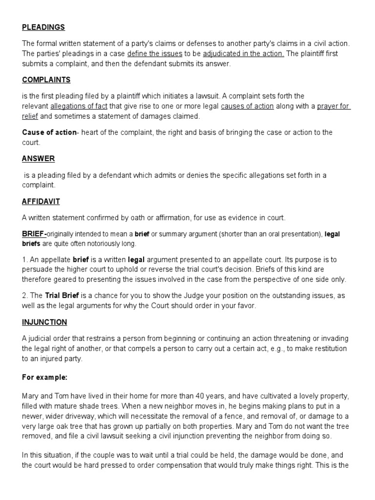 Laymans Guide To Court Papers PDF Pleading Brief (Law)