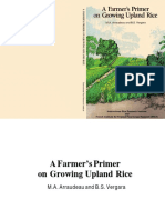 Farmers Primer in Growing Upland Rice
