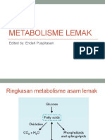 Metabolisme lemak