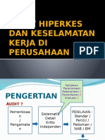 Audit Hiperkes Dan Keselamatan Kerja Di Perusahaan