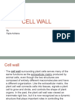 Cell Wall: by Fajrie Achlana