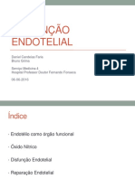 DISFUNÇÃO ENDOTELIAL.pdf