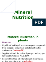 4-Mineral Nutrition.ppt