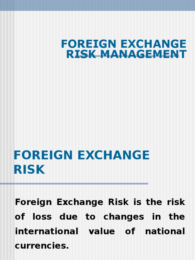 foreign exchange risk management examples