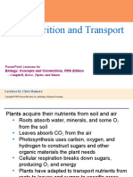 Plant Nutrition and Transport: Powerpoint Lectures For