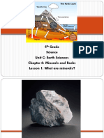 Rocks and Minerals PDF