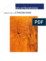 basic_neuroanatomy_neurophysiology_russia.pdf