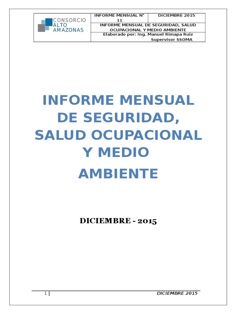 Informe Mensual de Seguridad Diciembre 2015 | PDF | Naturaleza ...