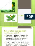AKAPULKO Presentation