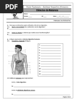 fichaorientacaodeestudosistemadigestivohumano-111203113137-phpapp02