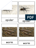 Invertebrate Cards PDF
