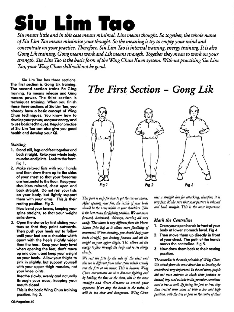 Siu Lim Tao: Step-by-Step Guide | PDF | Chinese Martial Arts | Wing Chun