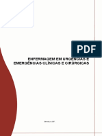 130633112-Enfermagem-Em-Urgencias-e-Emergencias-Clinicas-e-Cirurgicas-v1.pdf