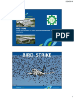 Bird Strike BPN 03121511