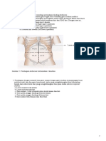 9 Regio Abdomen