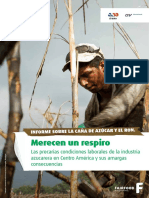 Las Precarias Condiciones Laborales de La Industria Azucarera en Centroamérica y Sus Amargas Consecuencias - Fairfood