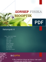 Konsep Fisika Biooptik