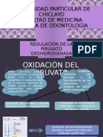 Oxidación piruvato y regulación PDH